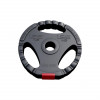 Gorilla Sports plastifizierte Zementscheibe (GRIP) 1,25 kg – 15 kg/31 mm Gorilla Sports plastifizierte Zementscheibe (GRIP) 1,25 kg – 15 kg/31 mm