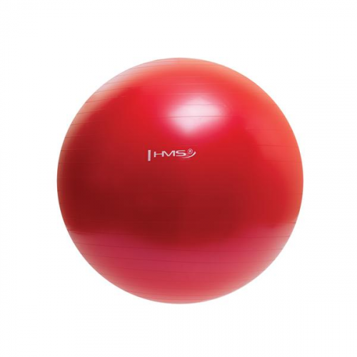 Fitball HMS, rot, 65cm Fitball HMS, rot, 65cm