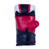 Boxhandschuhe DBX BUSHIDO DBX-B-131b Boxhandschuhe DBX BUSHIDO DBX-B-131b