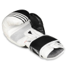 Boxhandschuhe DBX BUSHIDO B-2v3A Boxhandschuhe DBX BUSHIDO B-2v3A