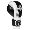 Boxhandschuhe DBX BUSHIDO B-2v3A Boxhandschuhe DBX BUSHIDO B-2v3A