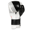 Boxhandschuhe DBX BUSHIDO B-2v3A Boxhandschuhe DBX BUSHIDO B-2v3A
