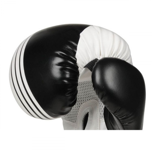 Boxhandschuhe DBX BUSHIDO B-2v3A Boxhandschuhe DBX BUSHIDO B-2v3A