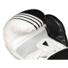 Boxhandschuhe DBX BUSHIDO B-2v3A Boxhandschuhe DBX BUSHIDO B-2v3A