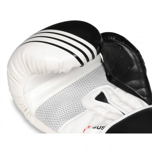Boxhandschuhe DBX BUSHIDO B-2v3A Boxhandschuhe DBX BUSHIDO B-2v3A