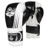 Boxhandschuhe DBX BUSHIDO B-2v3A Boxhandschuhe DBX BUSHIDO B-2v3A