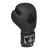 Boxhandschuhe DBX BUSHIDO B-2v12 Boxhandschuhe DBX BUSHIDO B-2v12