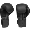 Boxerské rukavice DBX BUSHIDO B-2v12 6oz. Boxerské rukavice DBX BUSHIDO B-2v12 6oz.