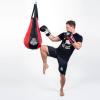 HMS Trainingsbirne DBX BUSHIDO ARP-512p 30 kg HMS Trainingsbirne DBX BUSHIDO ARP-512p 30 kg