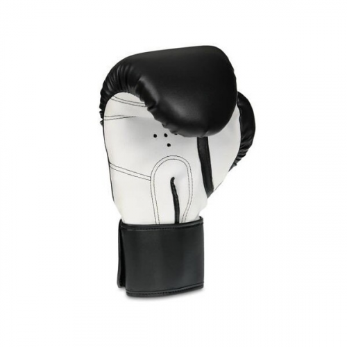 ARB-407a 12 oz. Boxhandschuhe DBX BUSHIDO 12oz. ARB-407a 12 oz. Boxhandschuhe DBX BUSHIDO 12oz.