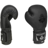 B-2v12 16 OZ Boxhandschuhe DBX BUSHIDO 16oz. 16oz. B-2v12 16 OZ Boxhandschuhe DBX BUSHIDO 16oz. 16oz.