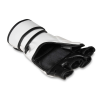 E1V7 MMA-Handschuhe DBX BUSHIDO, Größe L E1V7 MMA-Handschuhe DBX BUSHIDO, Größe L