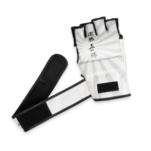 E1V7 MMA-Handschuhe DBX BUSHIDO, Größe L E1V7 MMA-Handschuhe DBX BUSHIDO, Größe L