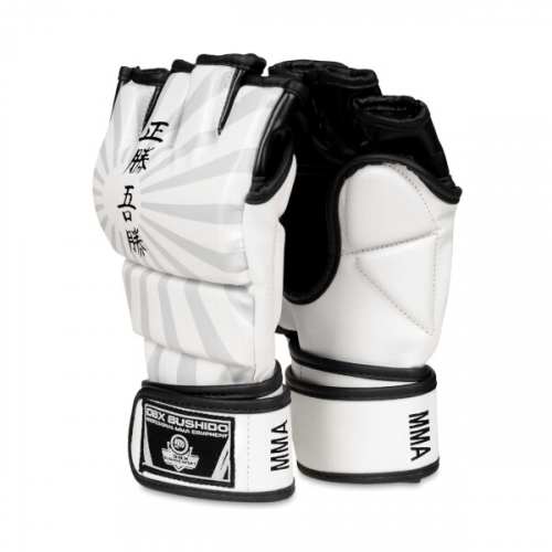 E1V7 MMA-Handschuhe DBX BUSHIDO, Größe L E1V7 MMA-Handschuhe DBX BUSHIDO, Größe L