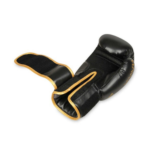 Boxhandschuhe DBX BUSHIDO B-2v17 Boxhandschuhe DBX BUSHIDO B-2v17