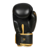 B-2v17 8 OZ Boxhandschuhe DBX BUSHIDO 8oz. 8oz. B-2v17 8 OZ Boxhandschuhe DBX BUSHIDO 8oz. 8oz.