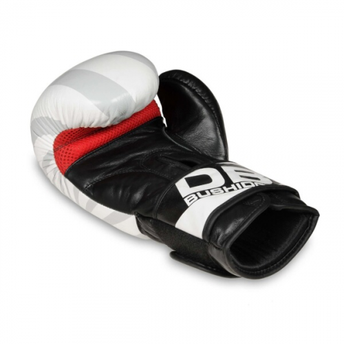 B-2V8 10 OZ Boxhandschuhe DBX BUSHIDO 10oz 10oz B-2V8 10 OZ Boxhandschuhe DBX BUSHIDO 10oz 10oz