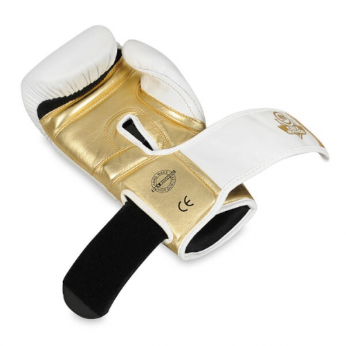 Boxhandschuhe DBX BUSHIDO B-2v19 Boxhandschuhe DBX BUSHIDO B-2v19