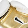 Boxhandschuhe DBX BUSHIDO B-2v19 Boxhandschuhe DBX BUSHIDO B-2v19