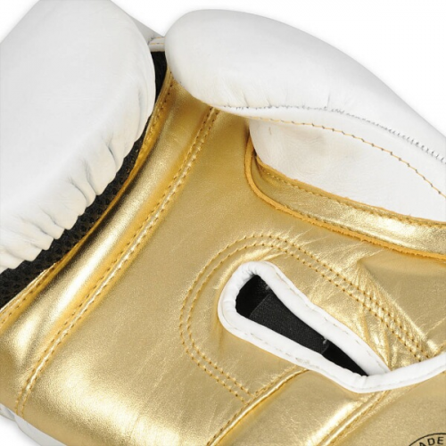 B-2v19 10 OZ Boxhandschuhe DBX BUSHIDO 10oz 10oz B-2v19 10 OZ Boxhandschuhe DBX BUSHIDO 10oz 10oz