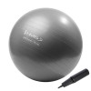 HMS Fitball YB02N, grau-silber, 75 cm HMS Fitball YB02N, grau-silber, 75 cm