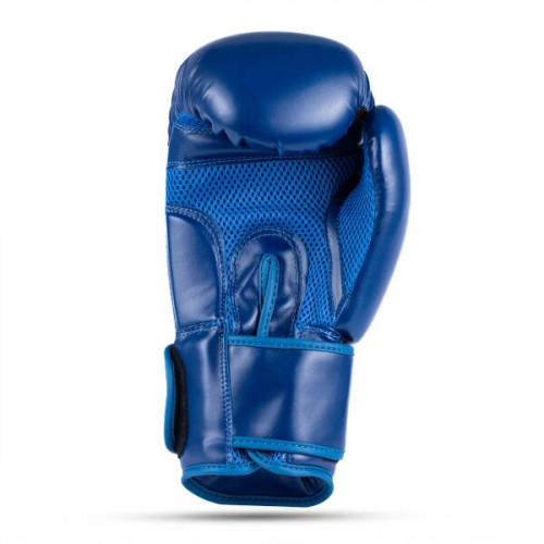 HMS Boxhandschuhe DBX BUSHIDO ARB-407-Blau HMS Boxhandschuhe DBX BUSHIDO ARB-407-Blau