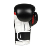 Boxhandschuhe DBX BUSHIDO B-3W Pro Boxhandschuhe DBX BUSHIDO B-3W Pro