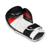 Boxhandschuhe DBX BUSHIDO B-3W Pro Boxhandschuhe DBX BUSHIDO B-3W Pro